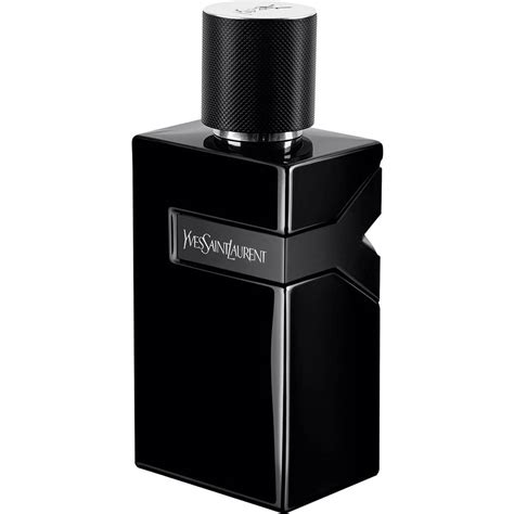 ysl y perfume australia